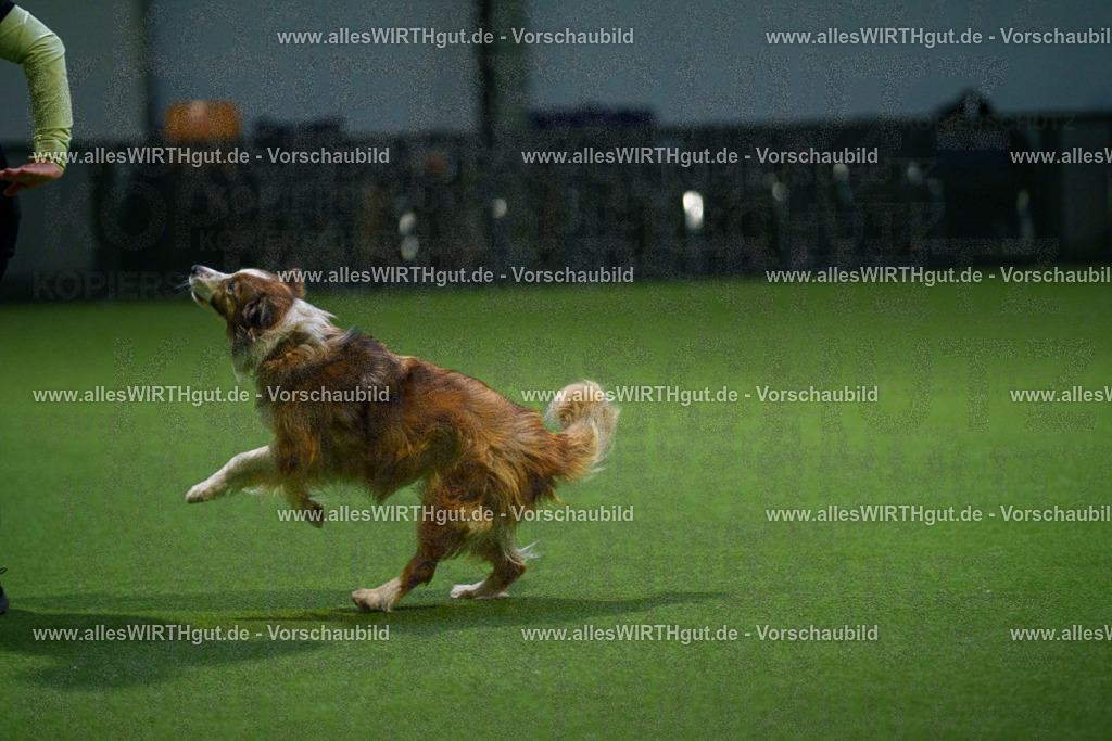 7R509728 | Professionelle Tierfotografie in Mönchengladbach von Daniel Wirth (allesWIRTHgut). Liebevolle & natürliche Bilder von Hunden & Katzen für unvergessliche Erinnerungen.