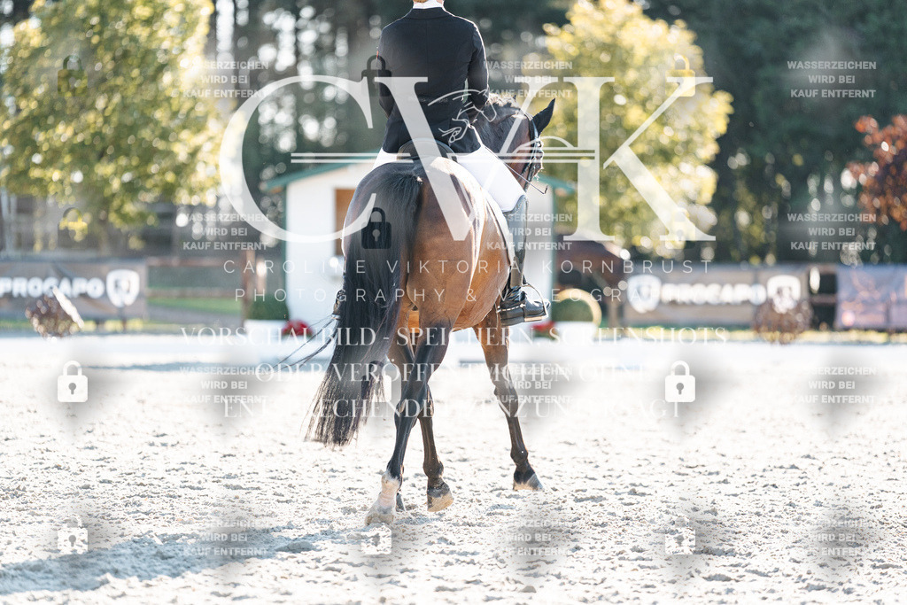 CK907040 | Turnierfotografie Pferdefotografie Trier Rheinland-Pfalz Pferdesport Reitsport Tierfotografie Sportfotografie Pferdevideo Pferdevideografie Equestrianvideography equestrianphotography  - Realisiert mit Pictrs.com