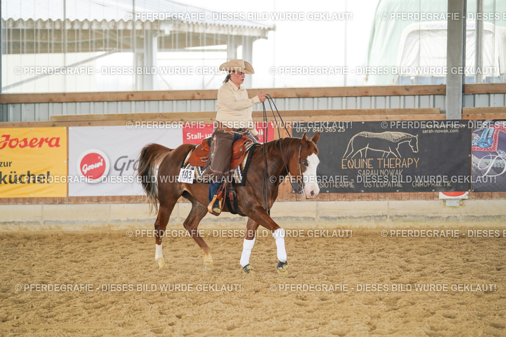 DSC06302 | Pferdegrafie