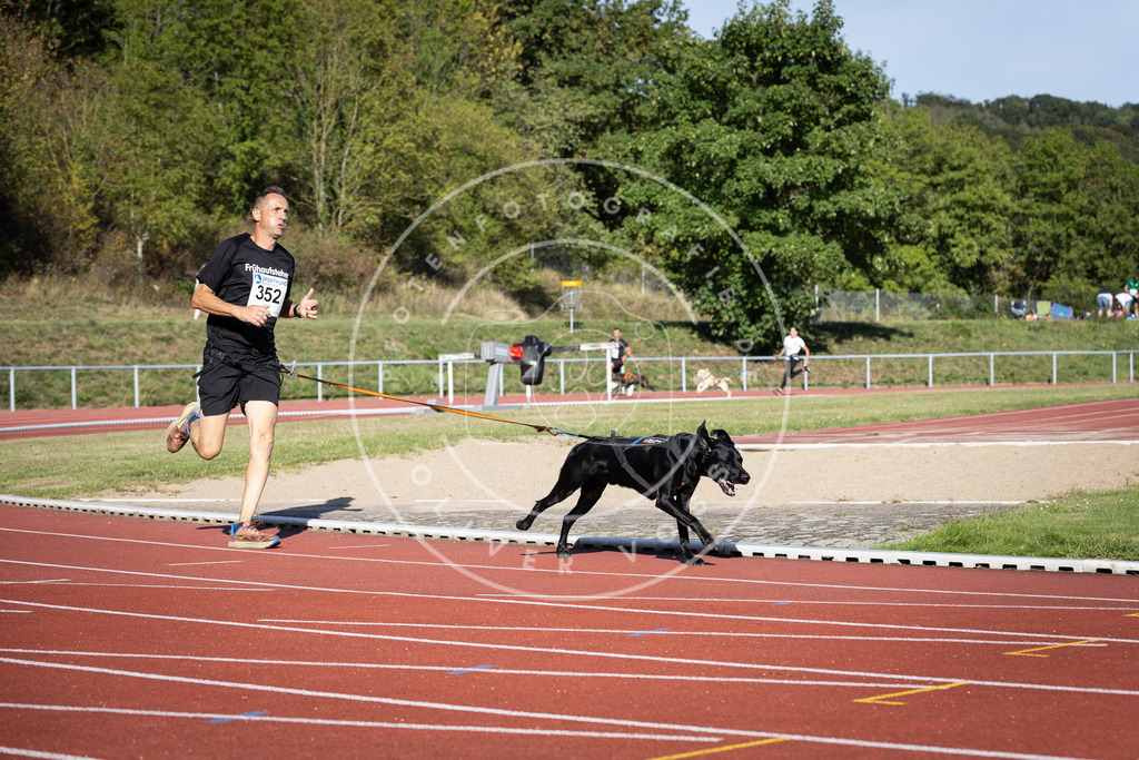 Pfotenfotografie_DV3A9828 | Hundefotografie, Tierfotograf, Pfotenfotografie, Fotoshooting Hund, Hunde Portrait, Hundesport, Hundeportraits, Heideshooting, Hunde, Sportfotograf, Hundefotograf, Turnierhundsport, THS,  - Realisiert mit Pictrs.com