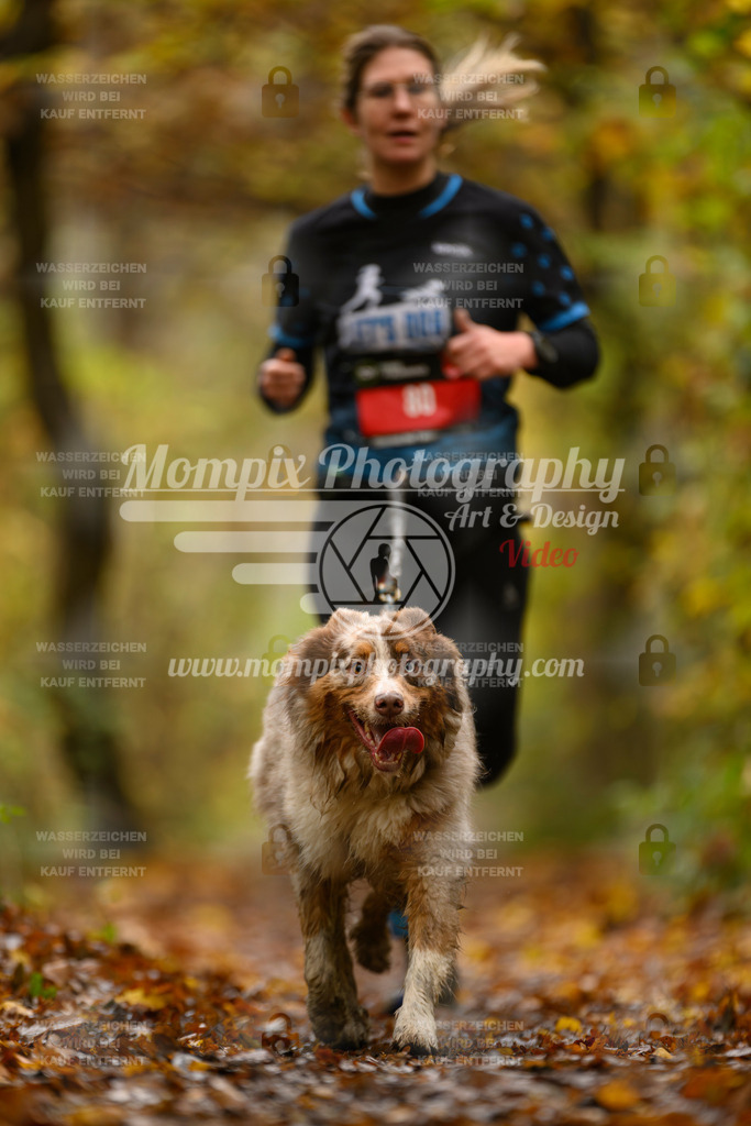 MompixPhotography_CD7S_DI_CCL-61 | mompixphotography