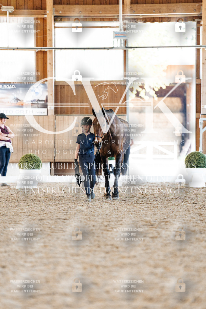 CK906450 | Turnierfotografie Pferdefotografie Trier Rheinland-Pfalz Pferdesport Reitsport Tierfotografie Sportfotografie Pferdevideo Pferdevideografie Equestrianvideography equestrianphotography  - Realisiert mit Pictrs.com