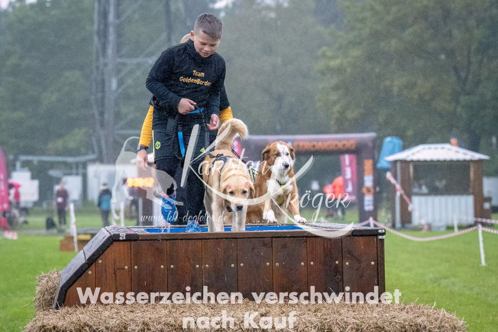 0911-_ZZ93455-Bearbeitet | kk-dogfotos