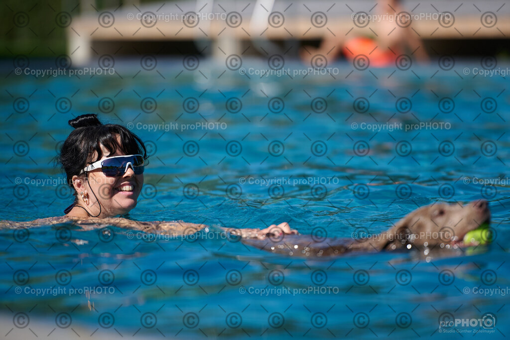 089_202509_4Hundebadetag_NZ9_2375 | proPHOTO - Realisiert mit Pictrs.com