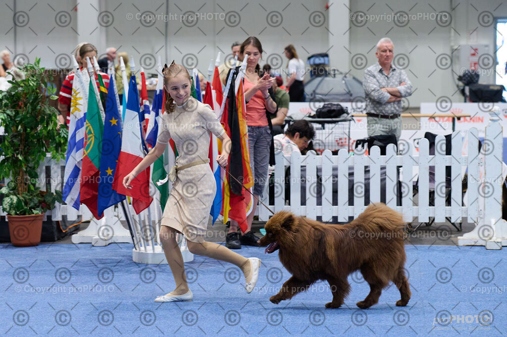 202406_ÖKV-IHA-Tulln24_DSC_4745 | proPHOTO - Realisiert mit Pictrs.com