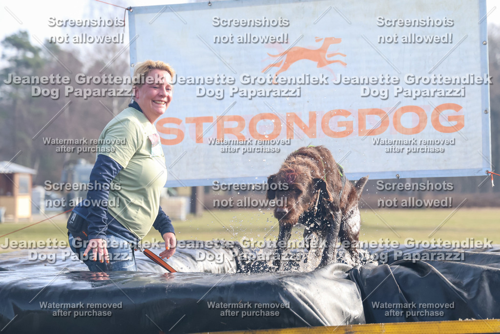 Dog Paparazzi - Strongdog North Mrz26-437 | Dog Paparazzi Jeanette Grottendiek Fotografie & Videografie - Realisiert mit Pictrs.com