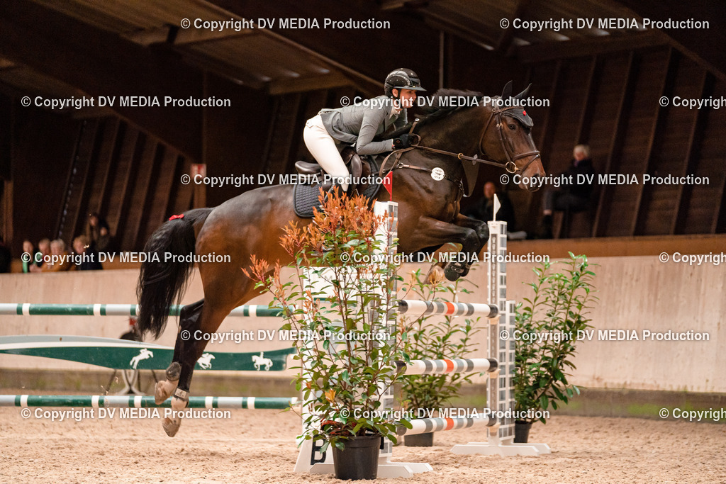 Springen Tag 1-500 | dv-media-shop - Realisiert mit Pictrs.com