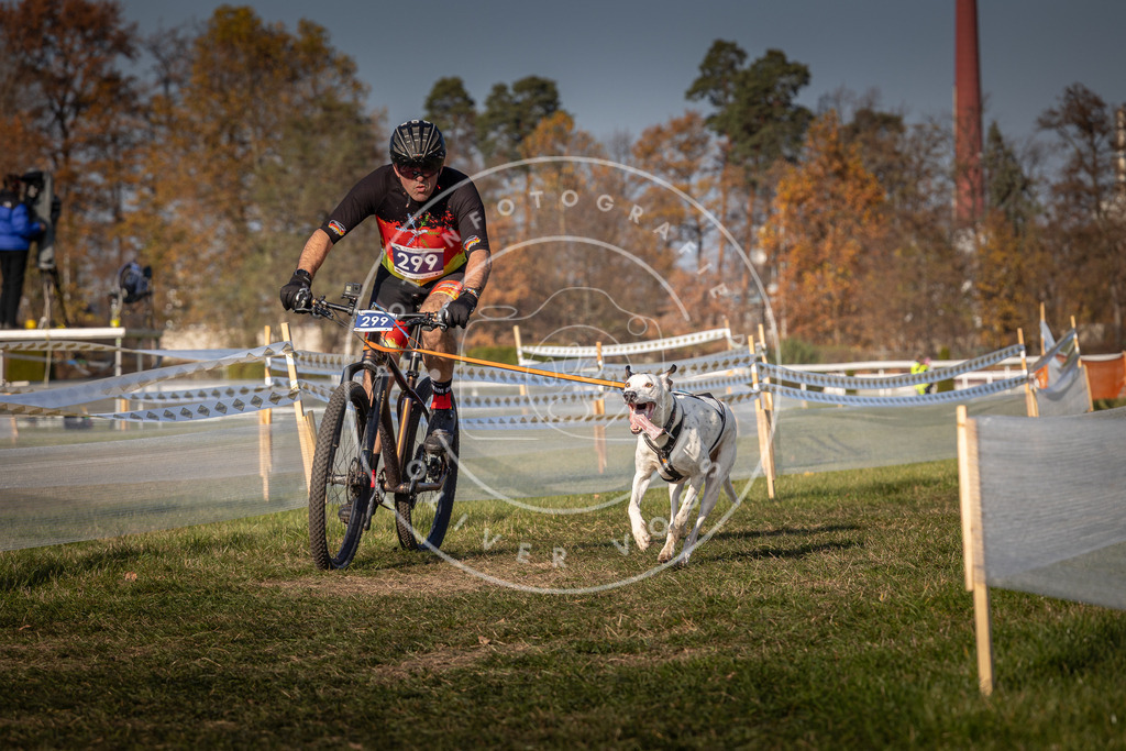 CaniXpix_0L8A7611 | Hundefotografie, Tierfotograf, Pfotenfotografie, Fotoshooting Hund, Hunde Portrait, Hundesport, Hundeportraits, Heideshooting, Hunde, Sportfotograf, Hundefotograf, Turnierhundsport, THS,  - Realisiert mit Pictrs.com
