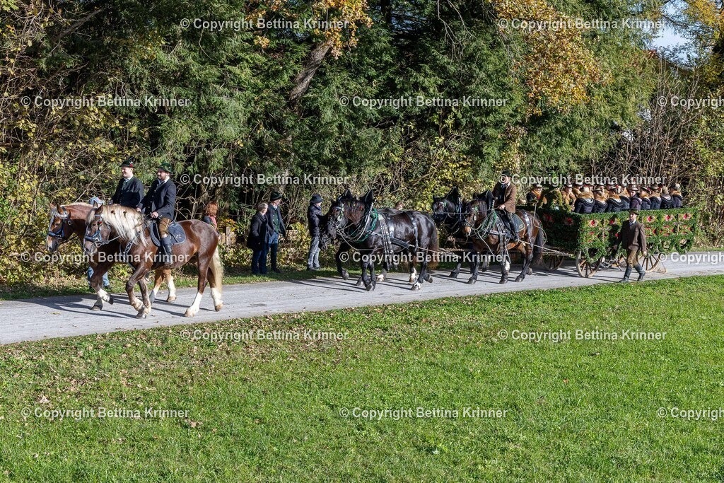 LBT24-887 | foto-bettina-krinner - Realisiert mit Pictrs.com