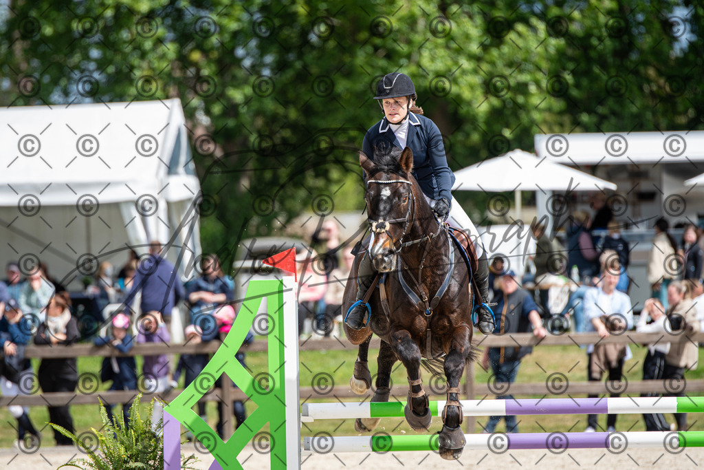 KPT_5651 | andre_photographic