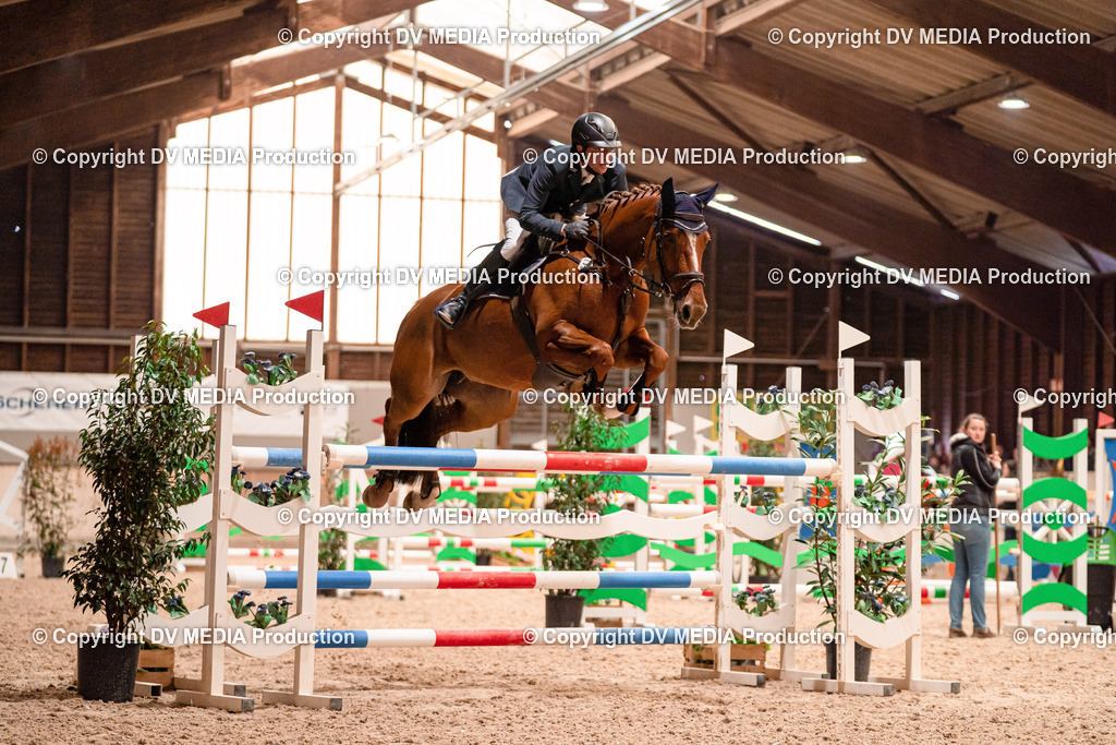 Springen Tag 3-314 | dv-media-shop - Realisiert mit Pictrs.com