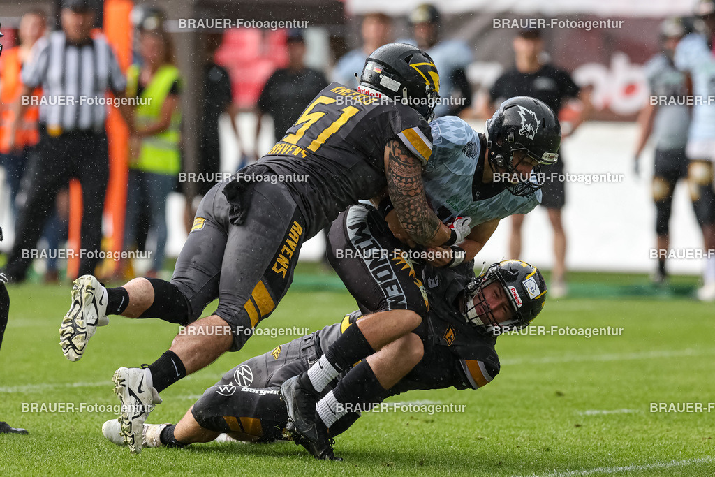 097_Ravens_20230827_0841 | BRAUER-Fotoagentur