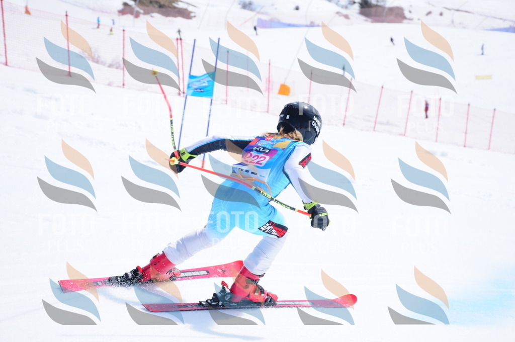 DSC_5982 | holidayphoto