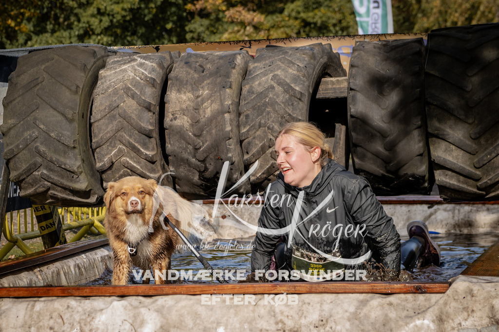 1311_ZZ92120 | kk-dogfotos
