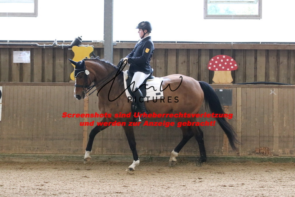 IMG_8558 | lmwpictures - Realisiert mit Pictrs.com