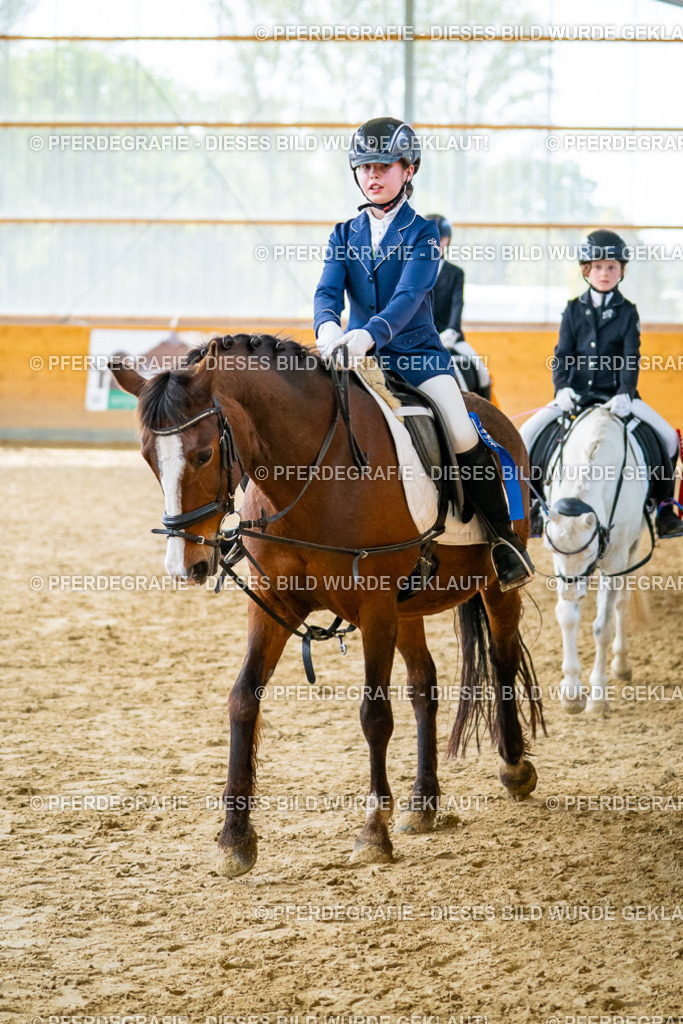 DSC01241 | Pferdegrafie