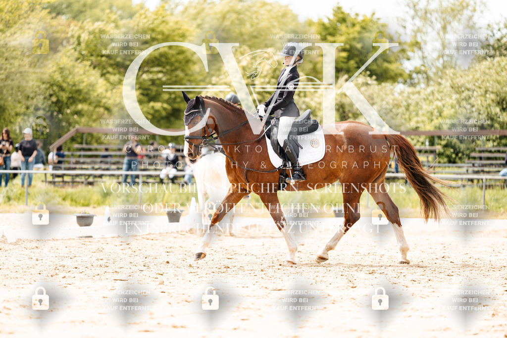 CK902199 | Turnierfotografie Pferdefotografie Trier Rheinland-Pfalz Pferdesport Reitsport Tierfotografie Sportfotografie Pferdevideo Pferdevideografie Equestrianvideography equestrianphotography  - Realisiert mit Pictrs.com