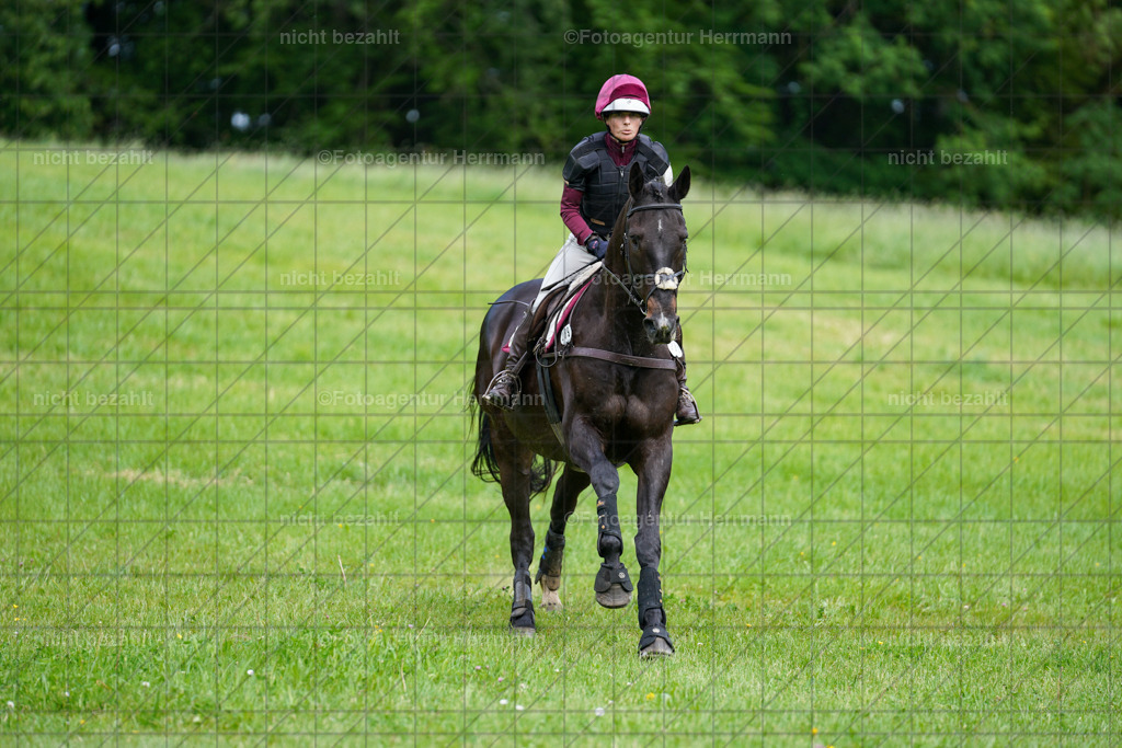 20240518-FAH03824 | Turnierbilder von Niederseon, Turnierfotografen Bayern, Fotoagentur Herrmann, Geländebilder, Reitsportfotografie