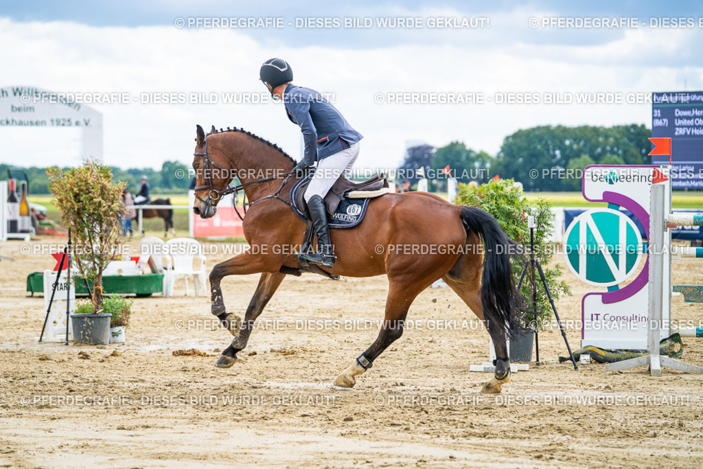 DSC06151 | Pferdegrafie