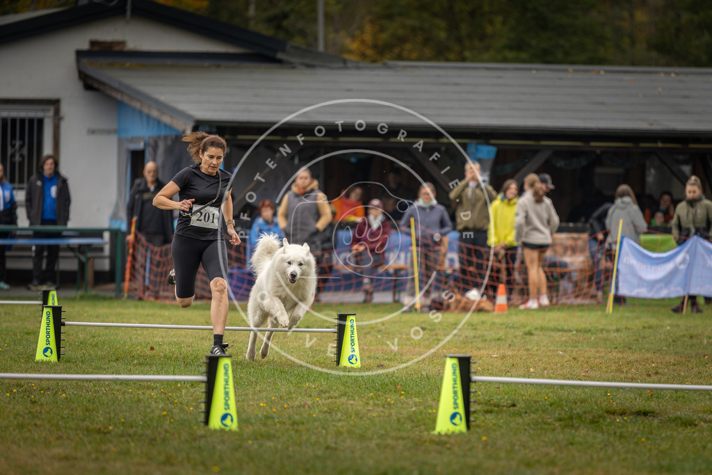 Pfotenfotografie_DV3A1582 | Hundefotografie, Tierfotograf, Pfotenfotografie, Fotoshooting Hund, Hunde Portrait, Hundesport, Hundeportraits, Heideshooting, Hunde, Sportfotograf, Hundefotograf, Turnierhundsport, THS,  - Realisiert mit Pictrs.com
