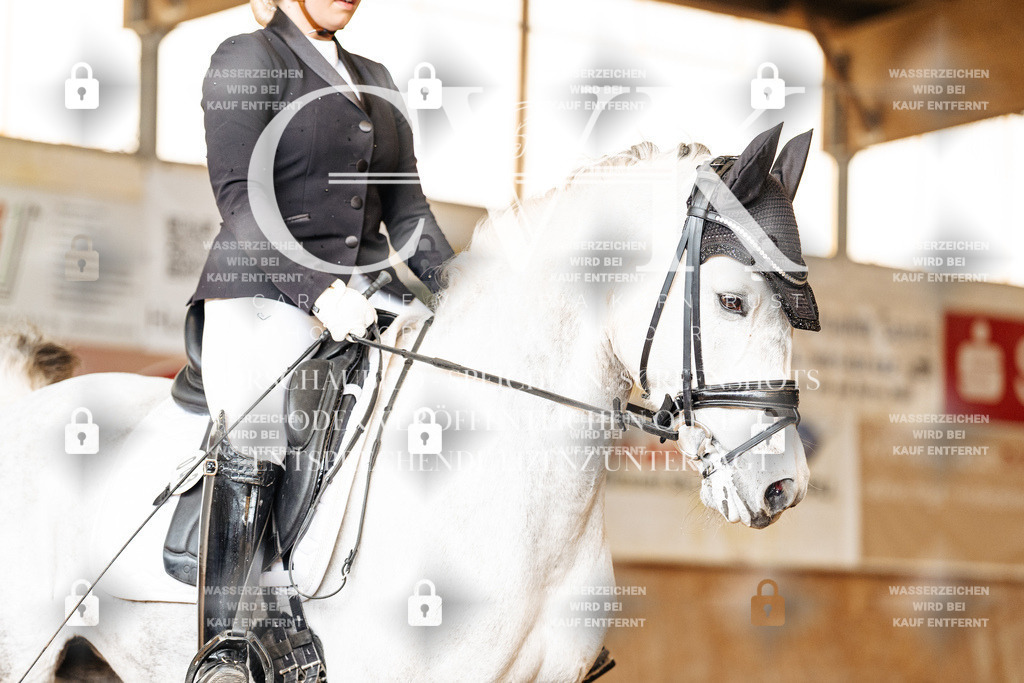 CK900916 | Turnierfotografie Pferdefotografie Trier Rheinland-Pfalz Pferdesport Reitsport Tierfotografie Sportfotografie Pferdevideo Pferdevideografie Equestrianvideography equestrianphotography  - Realisiert mit Pictrs.com