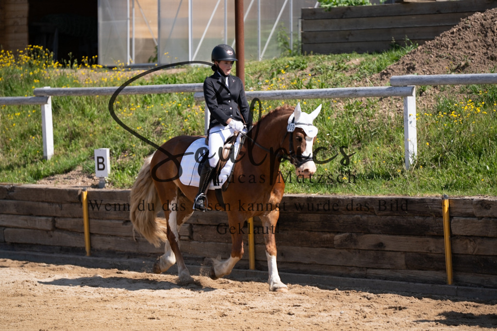 A7V07870 | Pferdefotograf