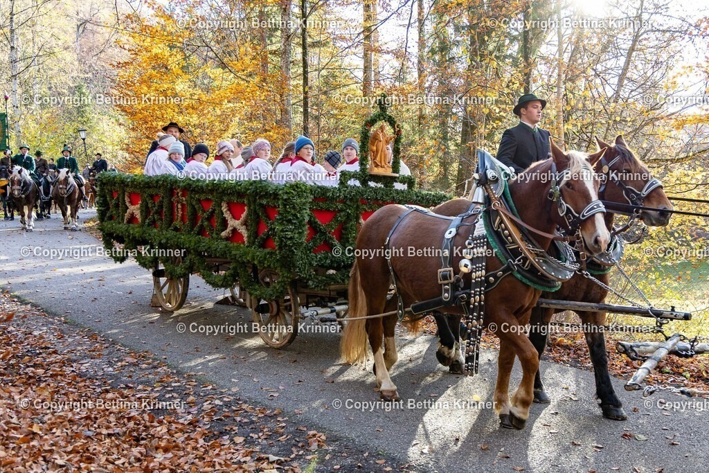 LL24-284 | foto-bettina-krinner - Realisiert mit Pictrs.com