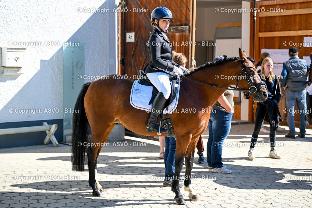 ASVÖ_ Reiten Bezirksmeisterschaft_ 24.08.2025-9 | 24.08.2025, AUT, ASVÖ, Reiten Bezirksmeisterschaft 2025Dressur und Springreiten©fodo.media / Harald Dostal - Realisiert mit Pictrs.com