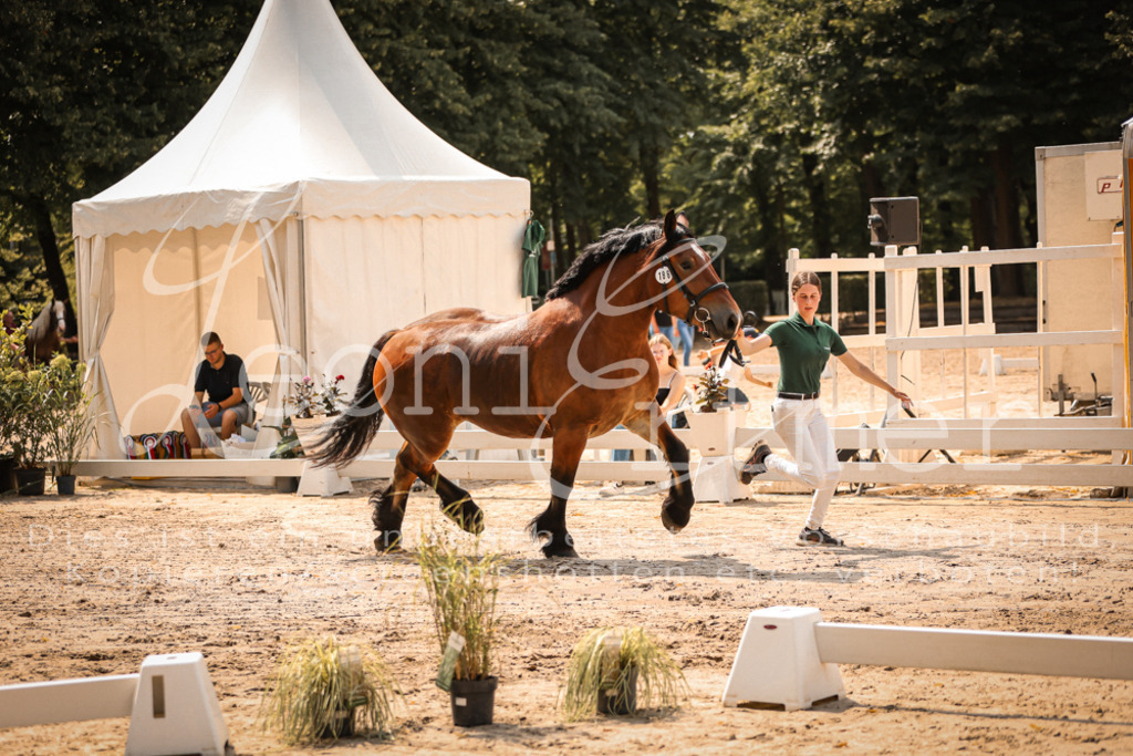 2.Sa00048 | Leoni Ertmer Photography - Realisiert mit Pictrs.com