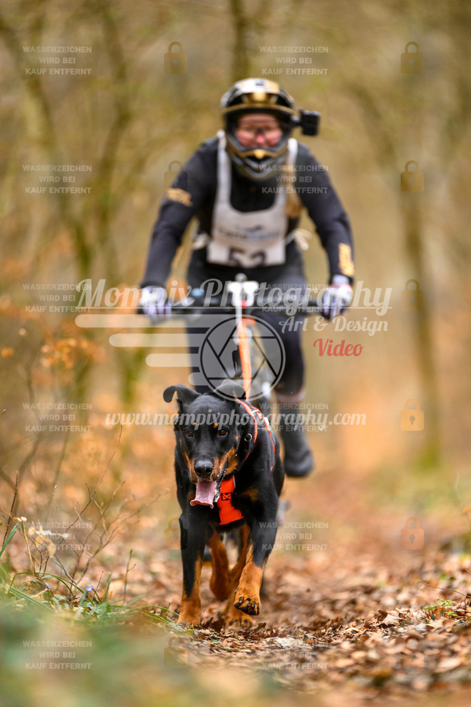 MompixPhotography_ReiatRennen2024_SO_Bike1H-97 | PayLife
