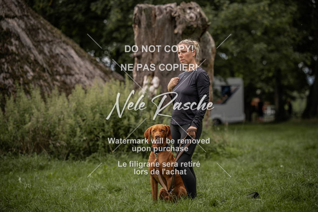nelerasche_DoN_101 | nelerasche
