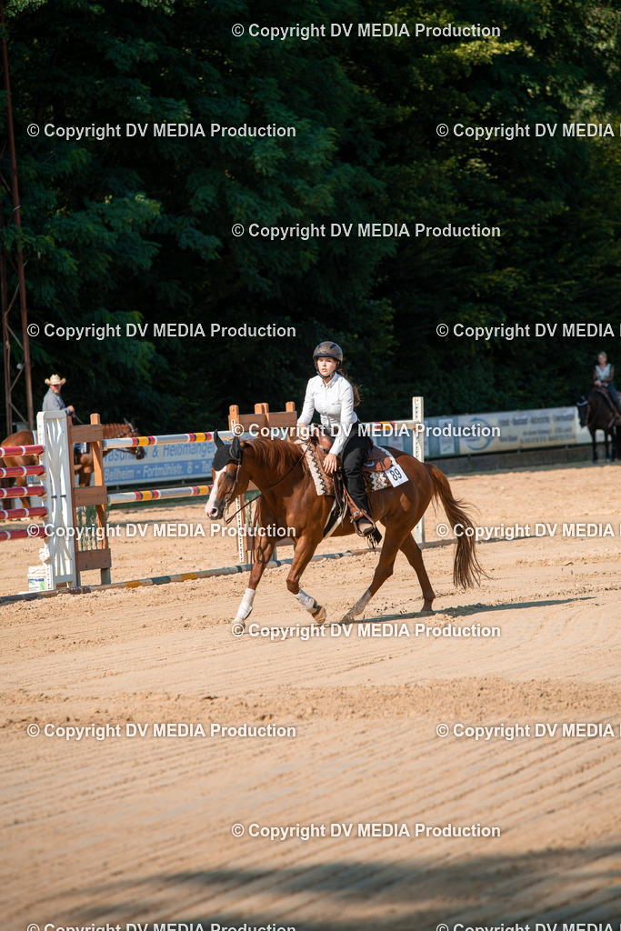 ZS2_8829 | dv-media-shop - Realisiert mit Pictrs.com