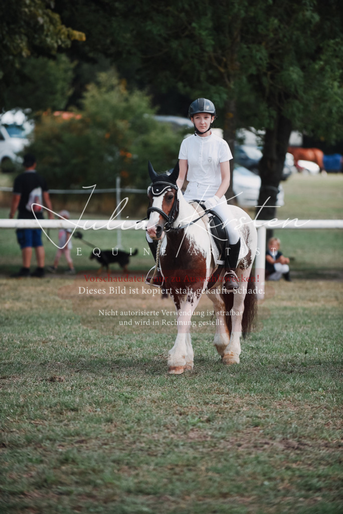 DSC_5583 | Pferde- und Turnierfotografie in Westsachsen. Pferdeportraits, Auftragszeichnungen und intuitive Kunst.