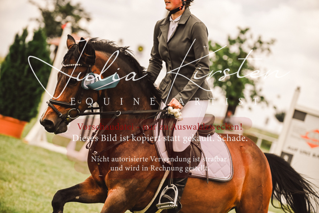DSC_6999 | Pferde- und Turnierfotografie in Westsachsen. Pferdeportraits, Auftragszeichnungen und intuitive Kunst.
