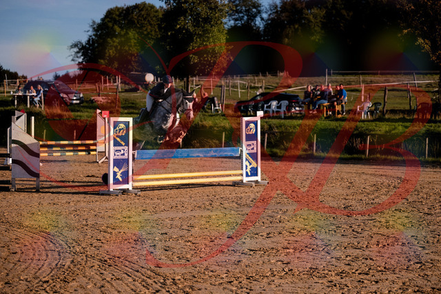 2026_10_03_Siefer-Hof_171433_Z81_11968335 | Professionelle Reitsport-, Turnier- und Eventfotografie von Robert Broda. Galerien mit ausgewählten und bearbeiteten Bildern direkt online ansehen und bestellen.