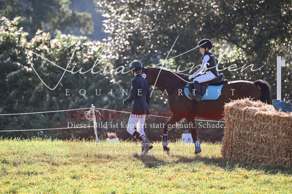 DSC_0281 | Pferde- und Turnierfotografie in Westsachsen. Pferdeportraits, Auftragszeichnungen und intuitive Kunst.