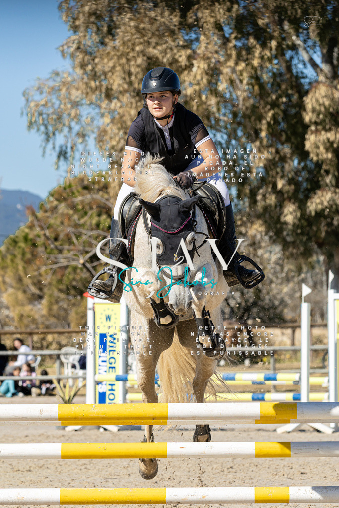 IMG_9372 | s-jay-photography - Realisiert mit Pictrs.com