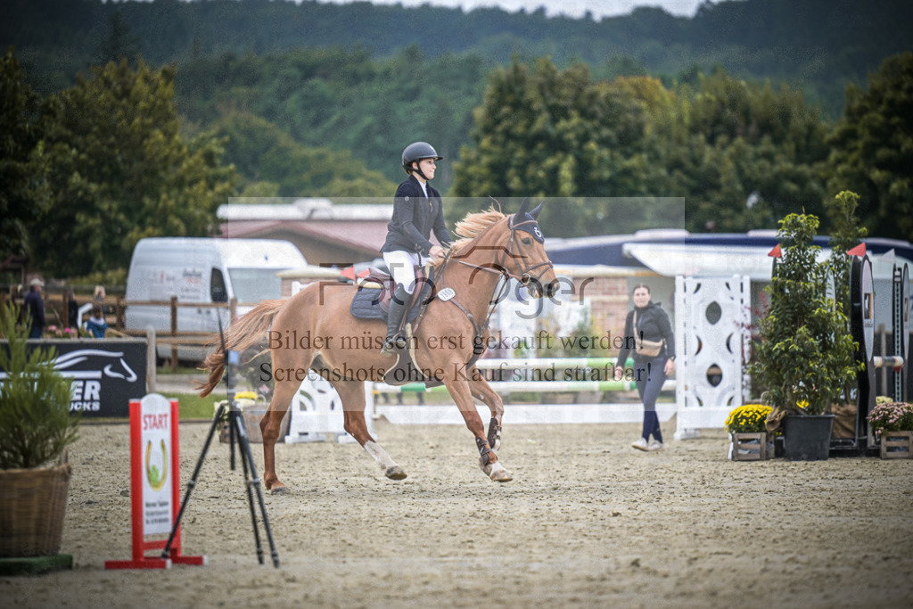 DOS_1352 | Entdecke hochwertige Reitturnierfotos von Foto Oger. Professionell, emotional und authentisch – jetzt Lieblingsmomente im Shop bestellen.Deutschlandweite Turnierfotografie. - Realisiert mit Pictrs.com