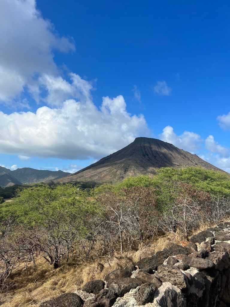 IMG_7910 | ace - Realisiert mit Pictrs.com