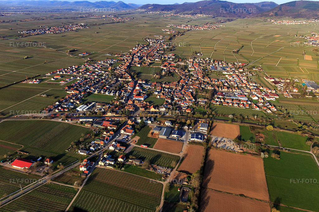 Luftbild: Ortsansicht von Osten in Edesheim im Bundesland Rheinland-Pfalz in Deutschland. Foto: IMG_126362.jpg vom 04.04.2021 durch Werner Riehm/FLY-FOTO.de