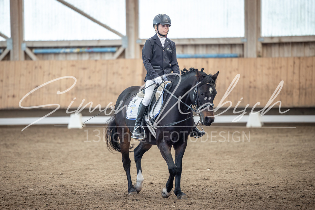 20251011-_3LI7937 | Tierfotografie Pferde, Hunde, Katzen, Haustiere.
Turnierfotografie Reitturniere, Reiten, Springreiten, Dressur in Hanau, dem Main-Kinzig-Kreis und dem Rhein-Main- Gebiet um Frankfurt