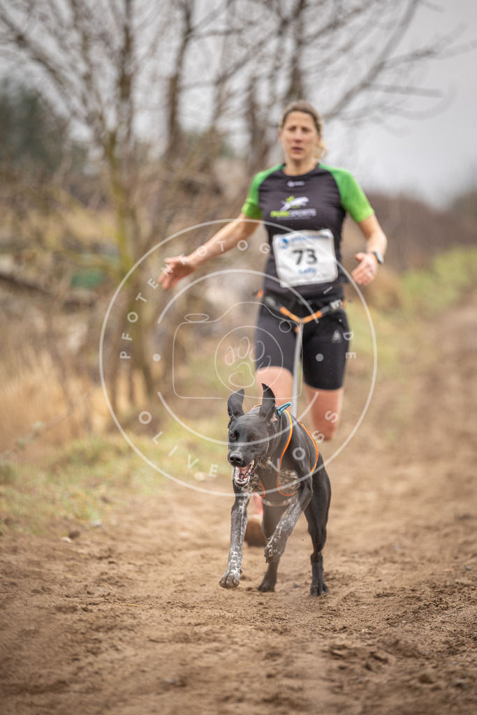 DV3A9698 | Hundefotografie, Tierfotograf, Pfotenfotografie, Fotoshooting Hund, Hunde Portrait, Hundesport, Hundeportraits, Heideshooting, Hunde, Sportfotograf, Hundefotograf, Turnierhundsport, THS,  - Realisiert mit Pictrs.com