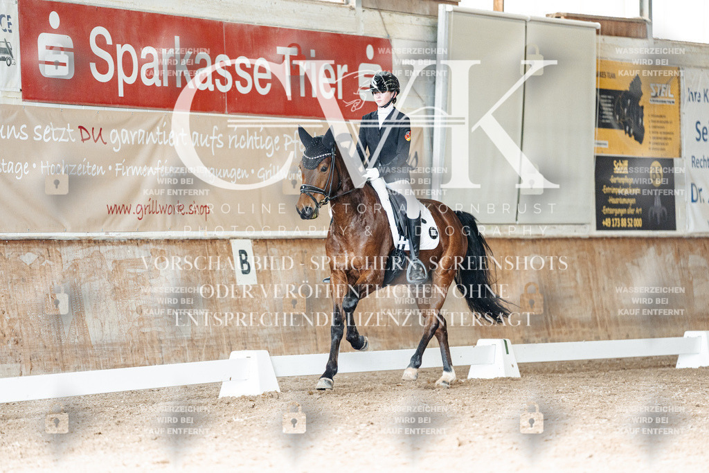 CK902013 | Turnierfotografie Pferdefotografie Trier Rheinland-Pfalz Pferdesport Reitsport Tierfotografie Sportfotografie Pferdevideo Pferdevideografie Equestrianvideography equestrianphotography  - Realisiert mit Pictrs.com