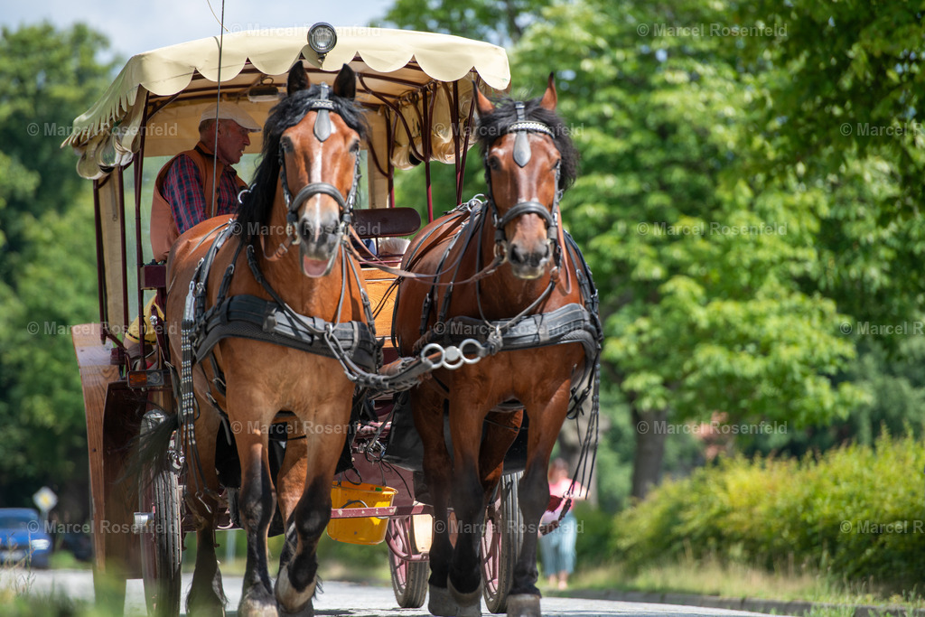 _DSC5633 | foto-rosenfeld