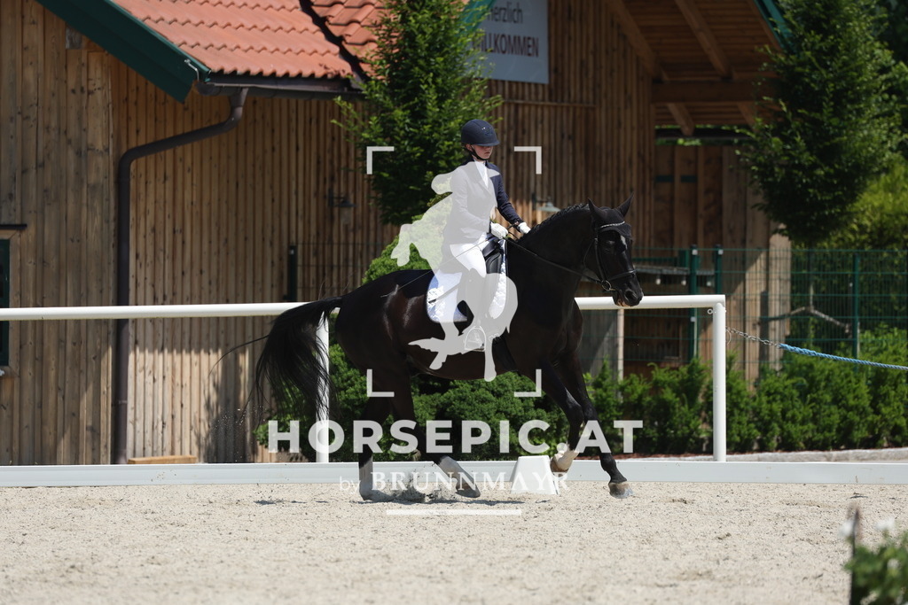 0P6A2243 | Willkommen bei Brunnmayr - Design & Fotografie – Ihrem Spezialisten für Reitturniere und Pferdeveranstaltungen in Oberösterreich, Salzburg und Bayern! Seit über 17 Jahren sind wir leidenschaftlich dabei.