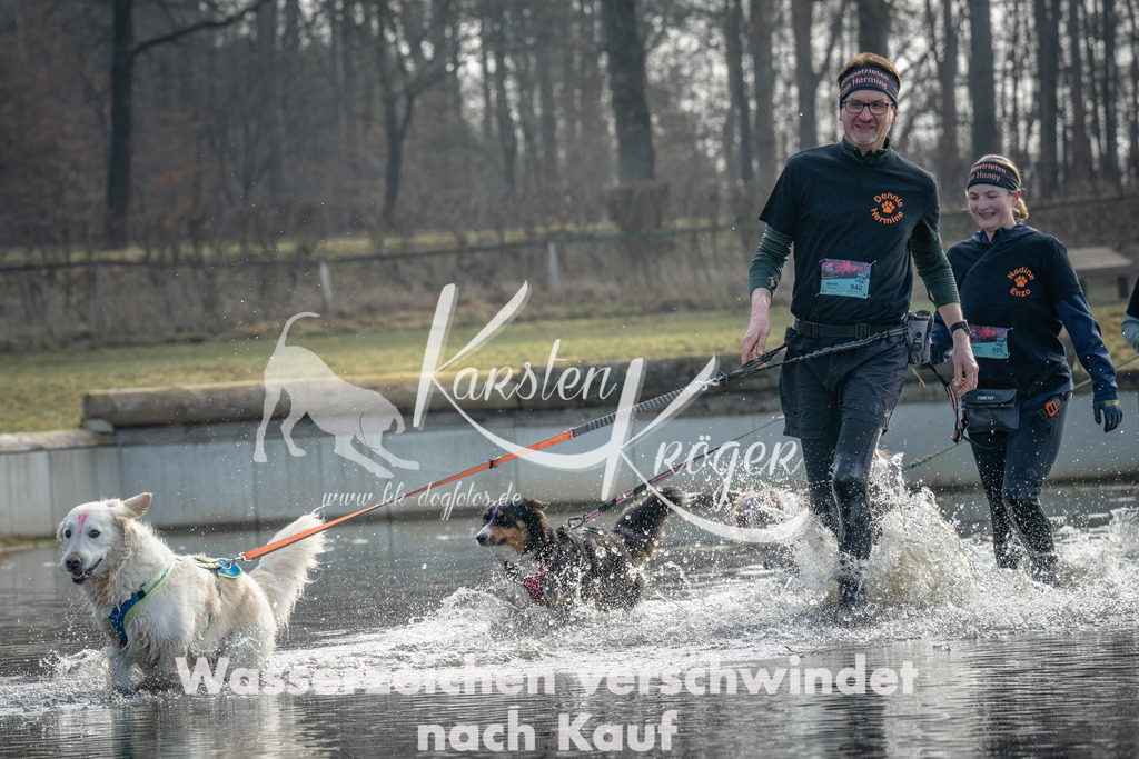 1000_ZZ95254 | kk-dogfotos
