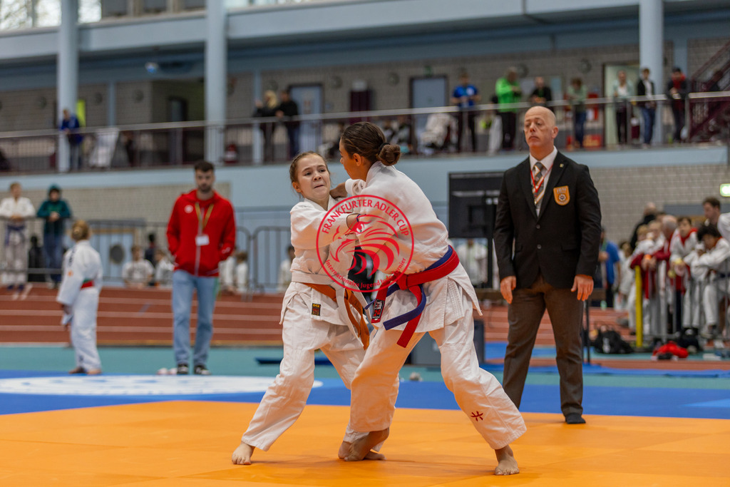 Internationaler Adler Cup 2024 | Foto vom Internationalen Adler Cup Judo Turnier im Sport- und Freizeitzentrum Kalbach im Oktober 2024 - Realisiert mit Pictrs.com
