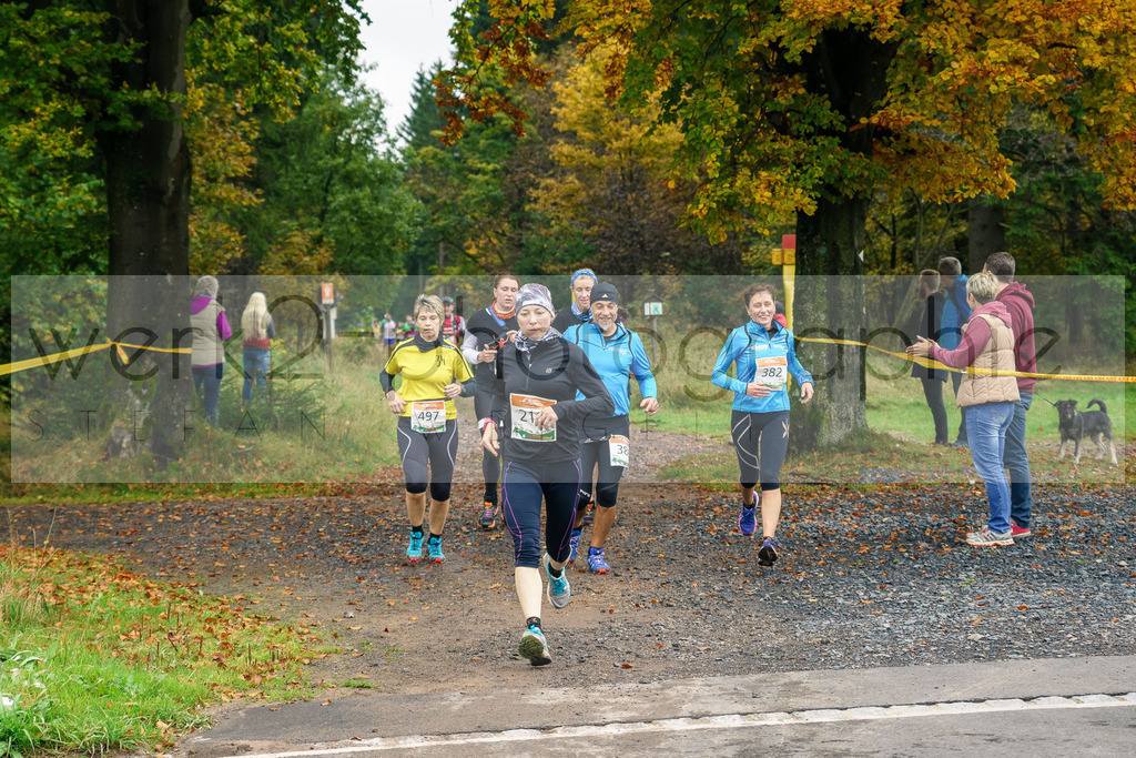 Herbstlauf 2017 | Neuhaus/Rwg. - Masserberg am 1. Oktober 2017