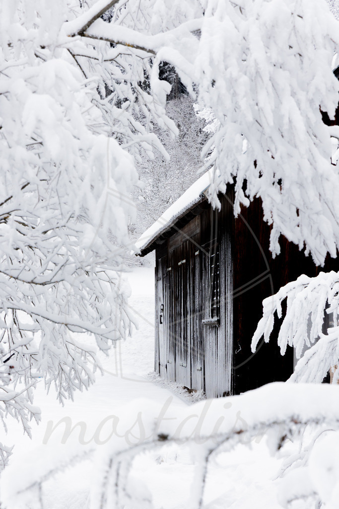 Winterwonderland Thomatal | Ihre Fotografin im Lungau, ihre Fotografin im Mostviertel, Wandbilder Onlineshop, Imagefotos für Ihr Unternehmen,  - Realisiert mit Pictrs.com