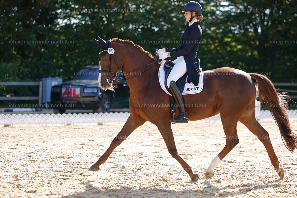 09_2-163-DRESSUR  S_  -StoibPH-5732 | working equitationturnier fotograf videograf stoibphotography marixx film working equitation deutschland reitsport turnierfotografie eventfotografie equestrian events